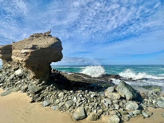 7a4cd933-d40f-4c72-a554-e72948a8afd9   12144206501