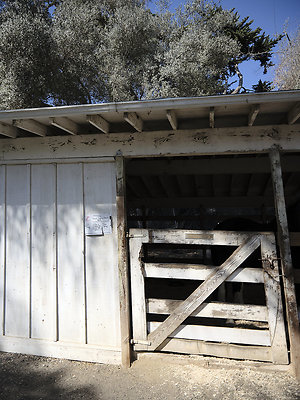 BUMMY SBSA 20220118 241