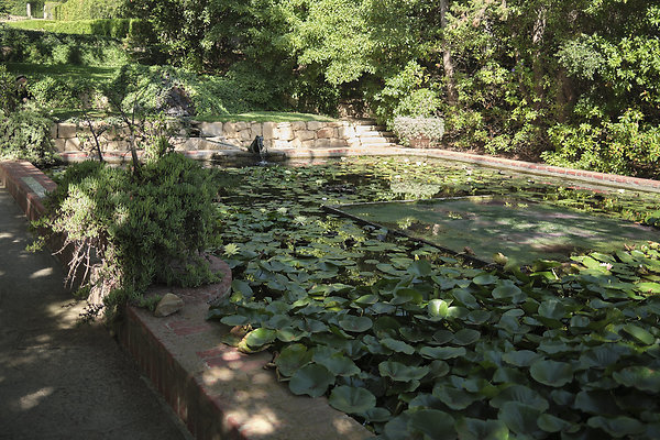 BUMMY SBSA 20220118 277