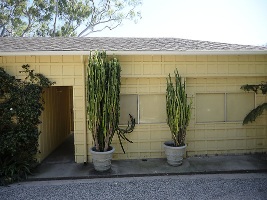 BUMMY SBSA 20220118 232