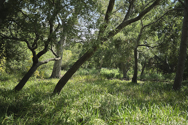 BUMMY SBSA 20220118 282