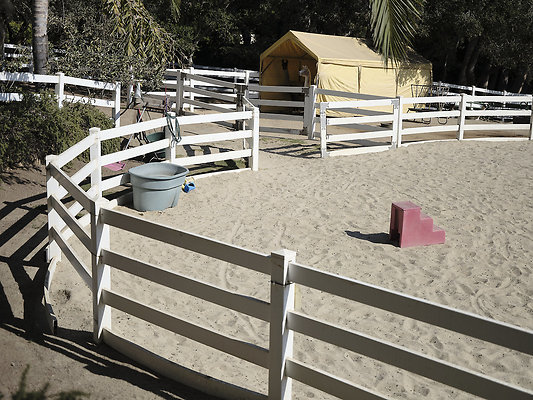 BUMMY SBSA 20220118 250