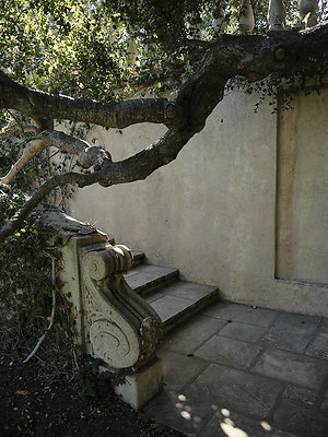 BUMMY SBSA 20220118 197