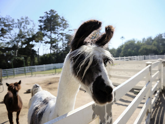 BUMMY SBSA 20220118 251