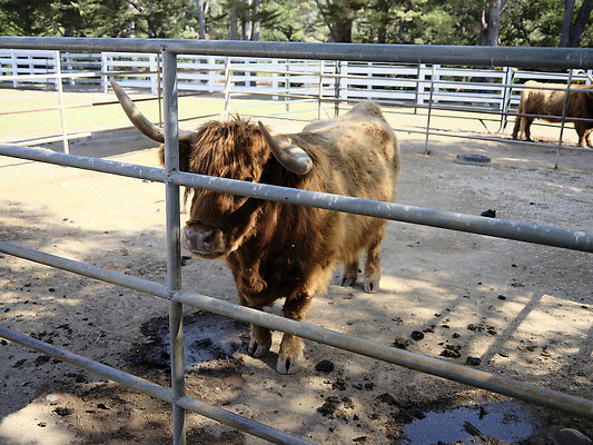 BUMMY SBSA 20220118 246