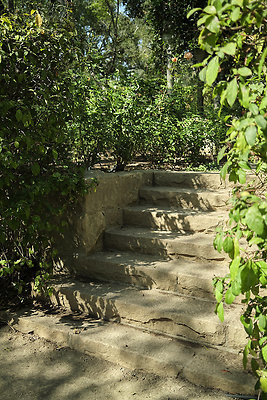 BUMMY SBSA 20220118 283