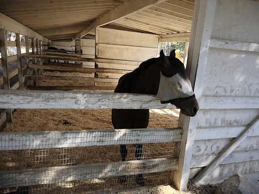 BUMMY SBSA 20220118 249