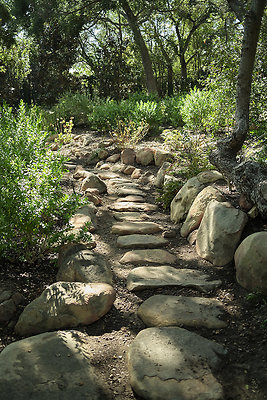 BUMMY SBSA 20220118 281