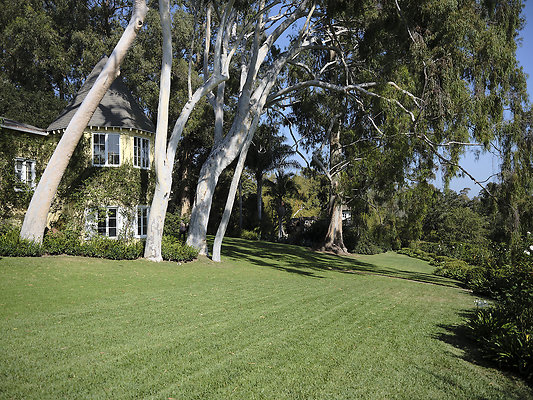 BUMMY SBSA 20220118 217