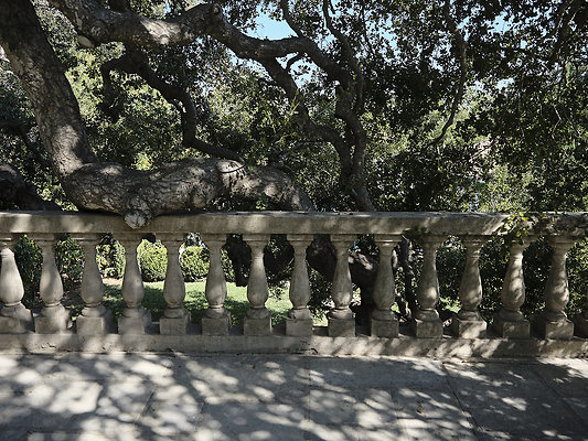 BUMMY SBSA 20220118 205