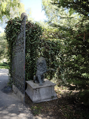 BUMMY SBSA 20220118 237