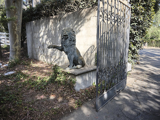 BUMMY SBSA 20220118 239