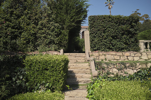 BUMMY SBSA 20220118 273