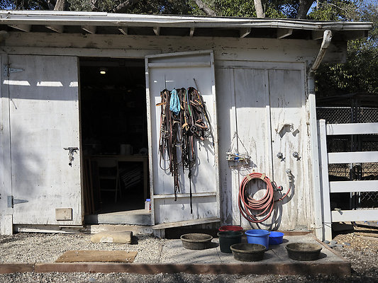 BUMMY SBSA 20220118 240