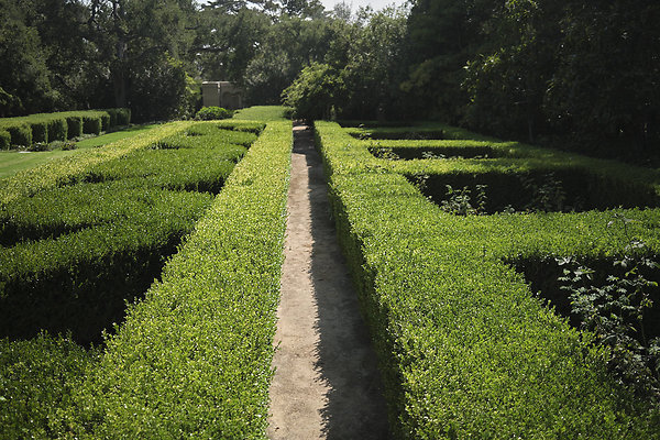 BUMMY SBSA 20220118 271