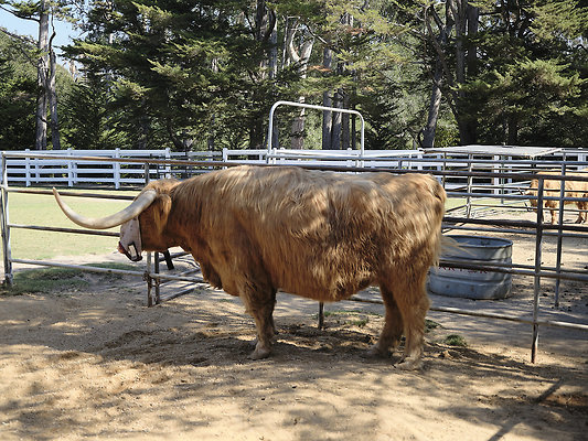 BUMMY SBSA 20220118 245