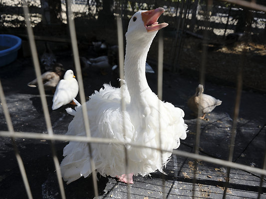 BUMMY SBSA 20220118 248