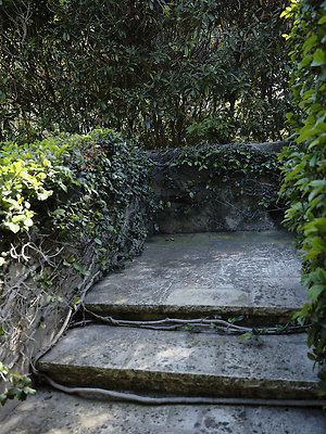 BUMMY SBSA 20220118 198