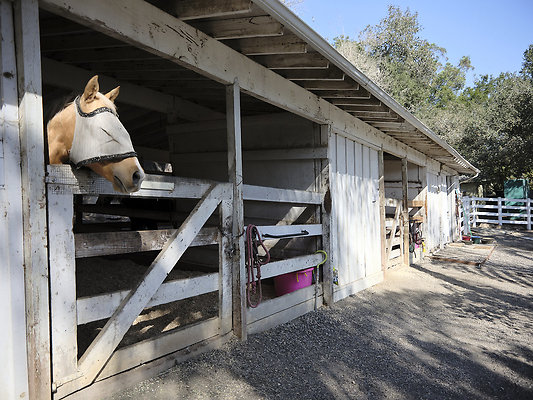 BUMMY SBSA 20220118 243