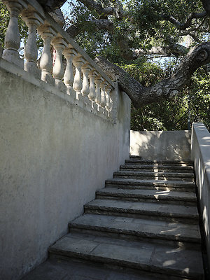 BUMMY SBSA 20220118 211