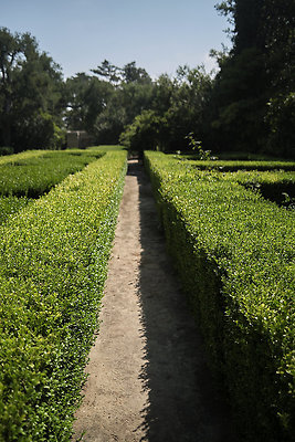 BUMMY SBSA 20220118 272