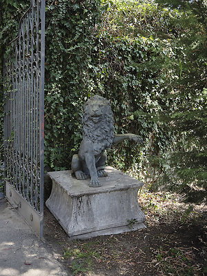 BUMMY SBSA 20220118 238