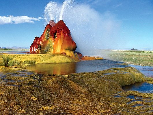 fly-geyser1[2]