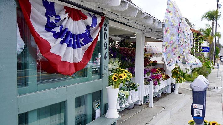 DSC02612 - BROWNE\'S FLORIST 2094 S. COAST HWY DSC02612 - BROWNE\'S FLORIST 2094 S. COAST HWY