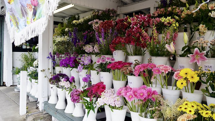 DSC02613 - 2094 S. COAST HWY DSC02613 - 2094 S. COAST HWY