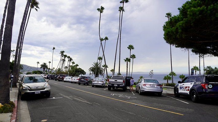 DSC02507 - CLIFF DRI DSC02507 - CLIFF DRI