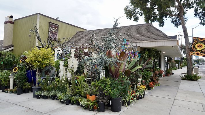 DSC02528 - 481 N. COAST HWY DSC02528 - 481 N. COAST HWY