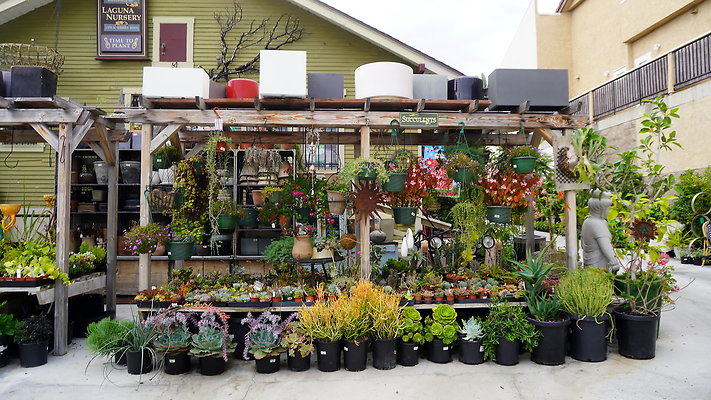 DSC02530 - 481 N.COAST HWY DSC02530 - 481 N.COAST HWY