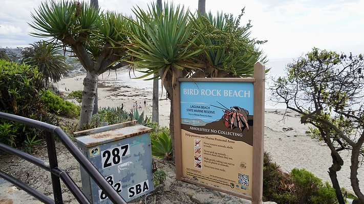 DSC02556.5 DSC02556.5