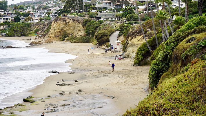 DSC02526 - PICNIC C OVE DSC02526 - PICNIC C OVE