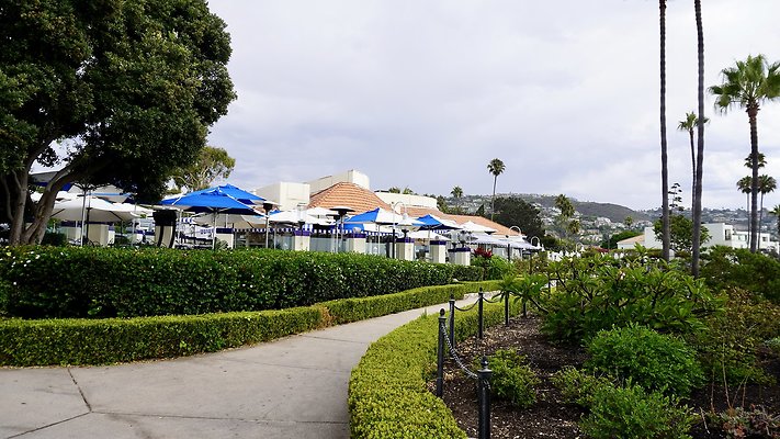 DSC02554.5 DSC02554.5