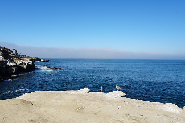 UNADJUSTEDNONRAW thumb dc4a UNADJUSTEDNONRAW thumb dc4a