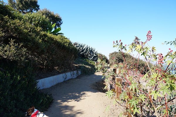 UNADJUSTEDNONRAW thumb dc39 UNADJUSTEDNONRAW thumb dc39