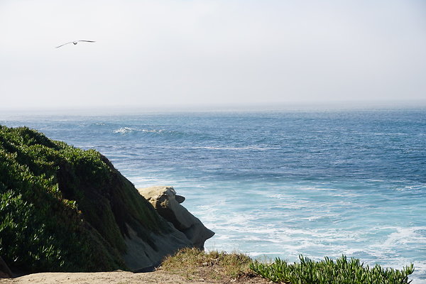 UNADJUSTEDNONRAW thumb dc5f UNADJUSTEDNONRAW thumb dc5f