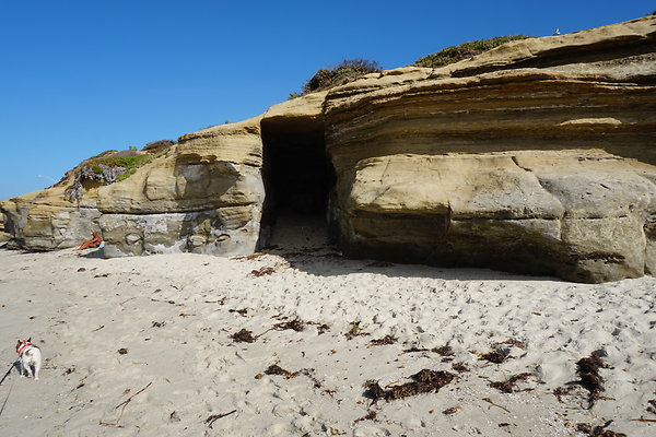 UNADJUSTEDNONRAW thumb dc6c UNADJUSTEDNONRAW thumb dc6c