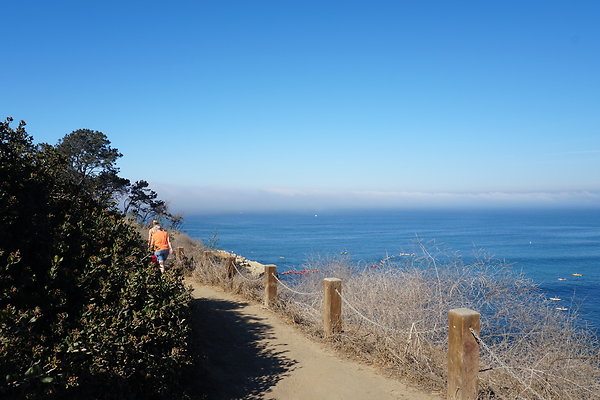 UNADJUSTEDNONRAW thumb dc27 UNADJUSTEDNONRAW thumb dc27