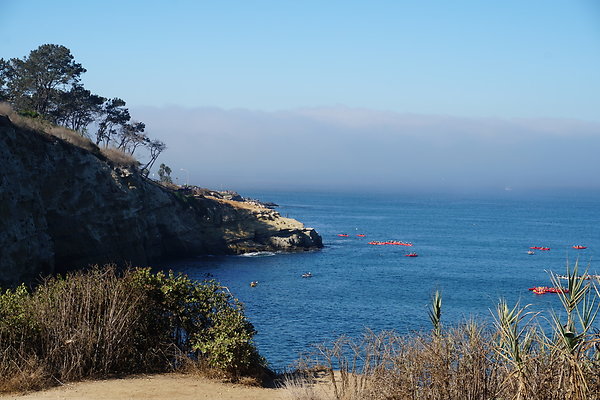 UNADJUSTEDNONRAW thumb dc31 UNADJUSTEDNONRAW thumb dc31