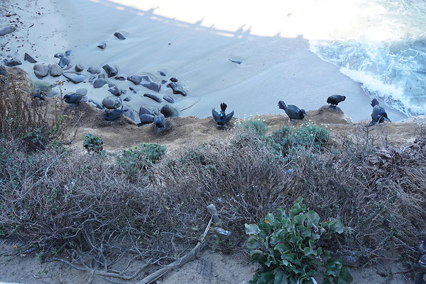 UNADJUSTEDNONRAW thumb dc4d UNADJUSTEDNONRAW thumb dc4d