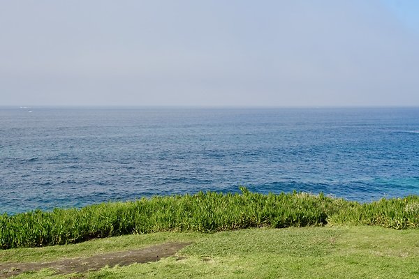 l3IdloSFREek2m%8cjjt7Q thumb dc75 l3IdloSFREek2m%8cjjt7Q thumb dc75