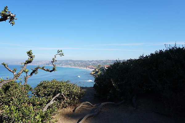 UNADJUSTEDNONRAW thumb dc2f UNADJUSTEDNONRAW thumb dc2f