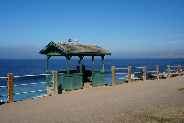 UNADJUSTEDNONRAW thumb dc60 UNADJUSTEDNONRAW thumb dc60