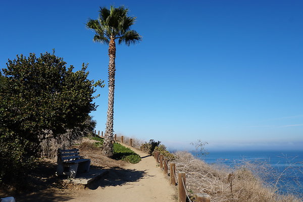 UNADJUSTEDNONRAW thumb dc37 UNADJUSTEDNONRAW thumb dc37