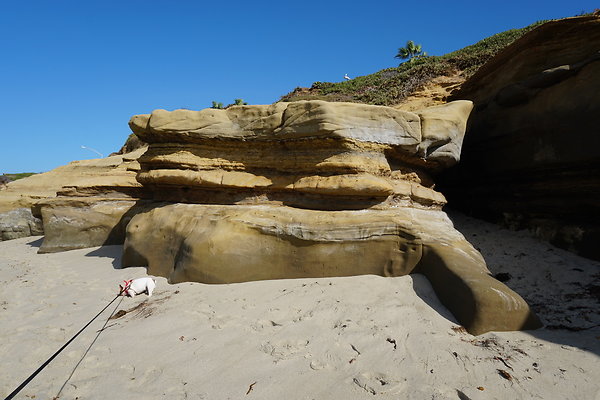 UNADJUSTEDNONRAW thumb dc6d UNADJUSTEDNONRAW thumb dc6d