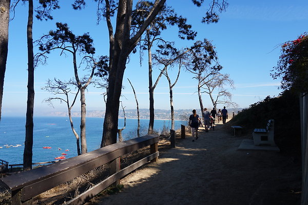 UNADJUSTEDNONRAW thumb dc3d UNADJUSTEDNONRAW thumb dc3d