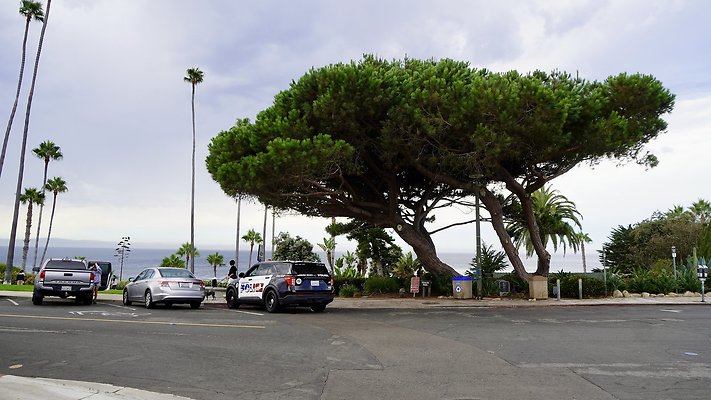 HEISLER PARK GROUNDS