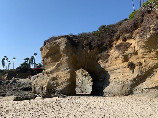 TREASURE ISLAND BEACH MONTAGE